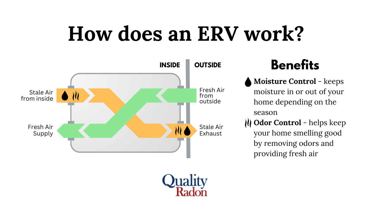 how-does-an-erv-system-work